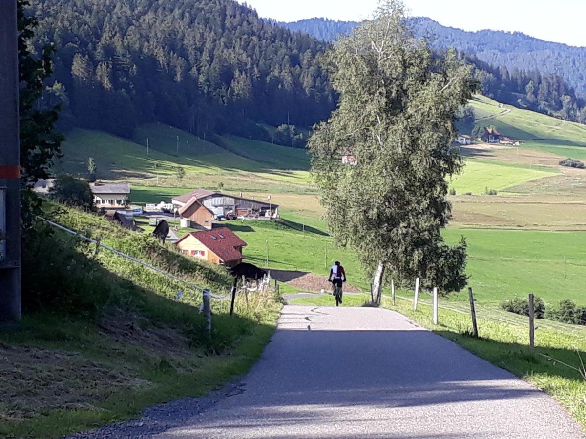 Gaestezimmer Im Dorfzentrum Rothenthurm Экстерьер фото